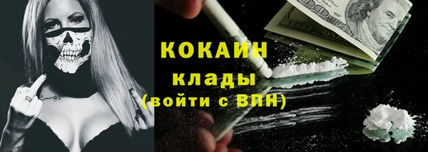 ПСИЛОЦИБИНОВЫЕ ГРИБЫ Алексин