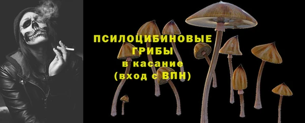ПСИЛОЦИБИНОВЫЕ ГРИБЫ Алексин