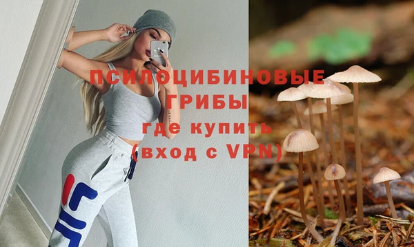 спиды Алексеевка