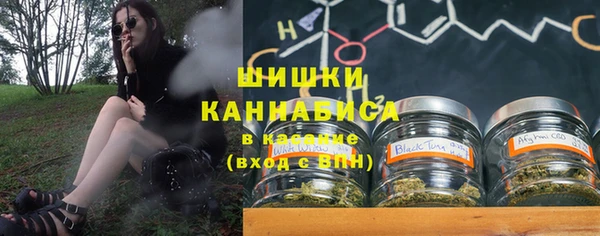 ПСИЛОЦИБИНОВЫЕ ГРИБЫ Алексин